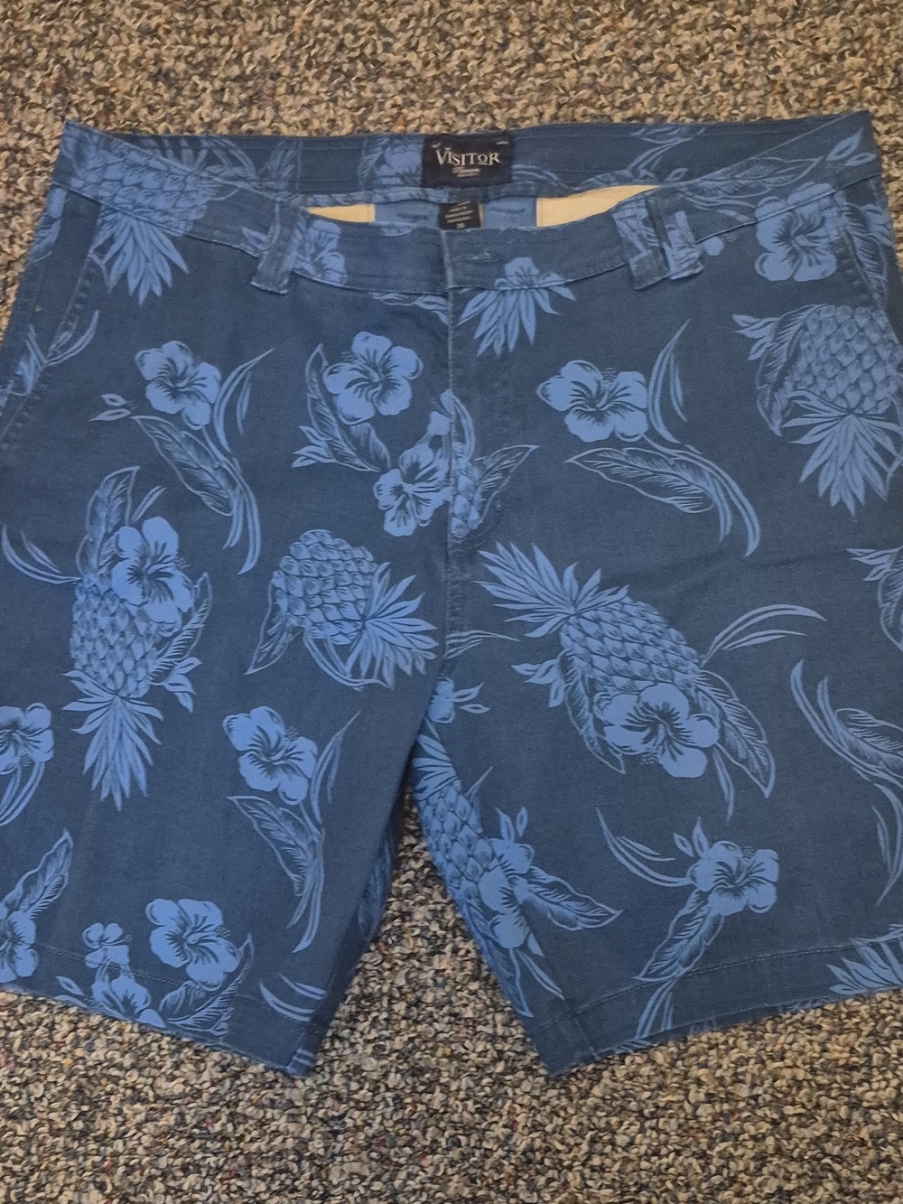Blue Pineapple Print Men's Shorts